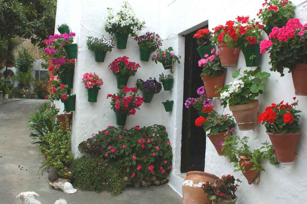 Cádiz - Vejer de la Frontera 10 - patio interior.jpg